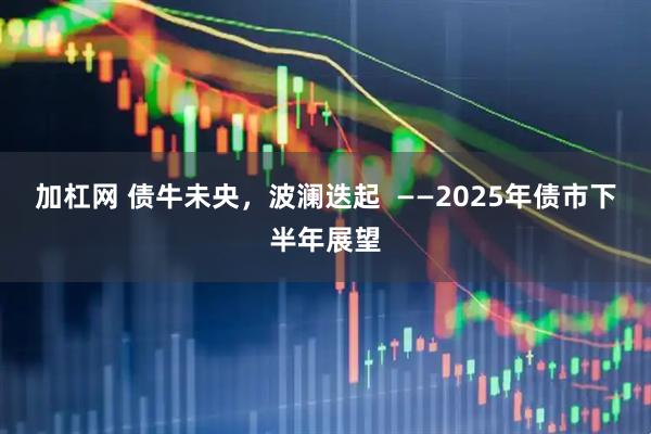 加杠网 债牛未央，波澜迭起  ——2025年债市下半年展望