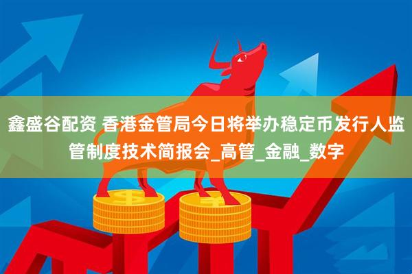 鑫盛谷配资 香港金管局今日将举办稳定币发行人监管制度技术简报会_高管_金融_数字