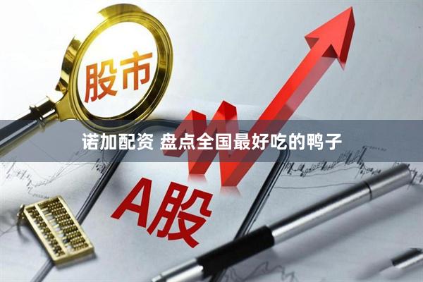 诺加配资 盘点全国最好吃的鸭子
