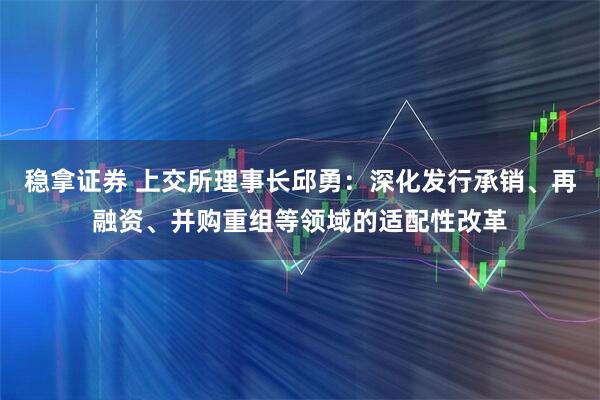 稳拿证券 上交所理事长邱勇：深化发行承销、再融资、并购重组等领域的适配性改革