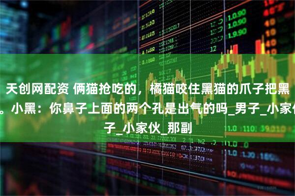 天创网配资 俩猫抢吃的，橘猫咬住黑猫的爪子把黑猫拖走。小黑：你鼻子上面的两个孔是出气的吗_男子_小家伙_那副